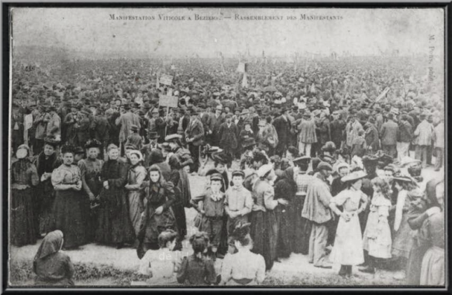 Manifestation_viticole__Bziers_-_Rassemblement_des_Manifestants